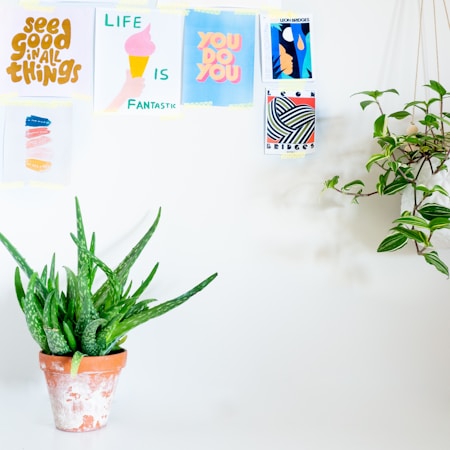 A minimalist wall features several colorful motivational posters with uplifting messages. Below the posters, a green aloe vera plant in a rustic terracotta pot sits on a surface. To the right, a hanging plant adds a touch of nature to the scene.