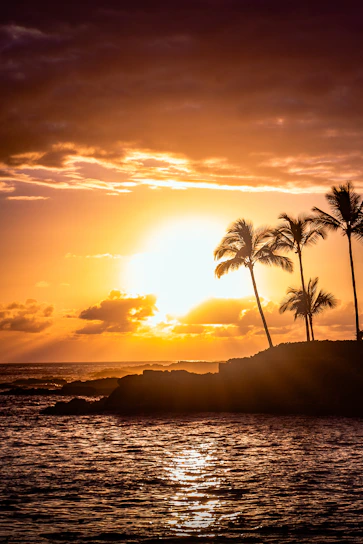 A stunning oceanfront villa at sunset with warm lights glowing inside, surrounded by palm trees.
