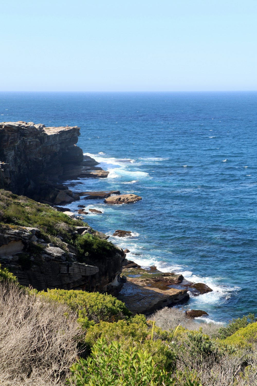 green grass on rocky mountain beside sea during daytime