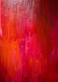 red and black abstract painting