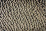 Aerial view of a textured sandy surface with wave-like patterns and undulations. The sand appears to be slightly damp, creating a mixture of light and dark areas due to shadows and variations in the surface.