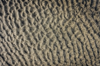 Aerial view of a textured sandy surface with wave-like patterns and undulations. The sand appears to be slightly damp, creating a mixture of light and dark areas due to shadows and variations in the surface.