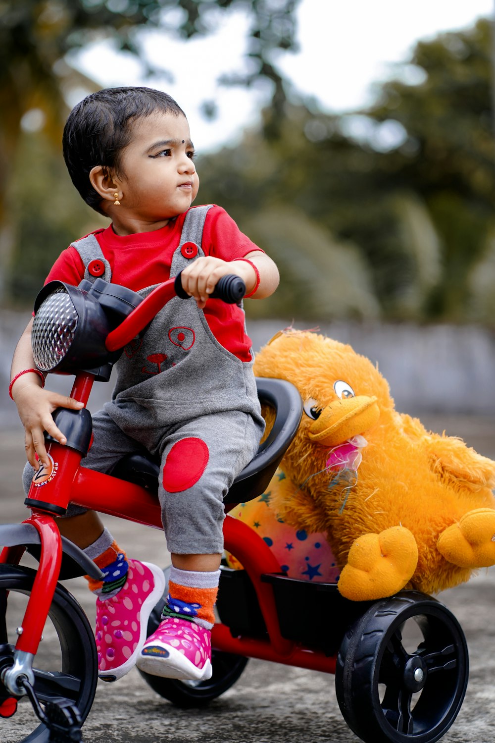 child in red and white long sleeve shirt riding on red bicycle with yellow bear plush