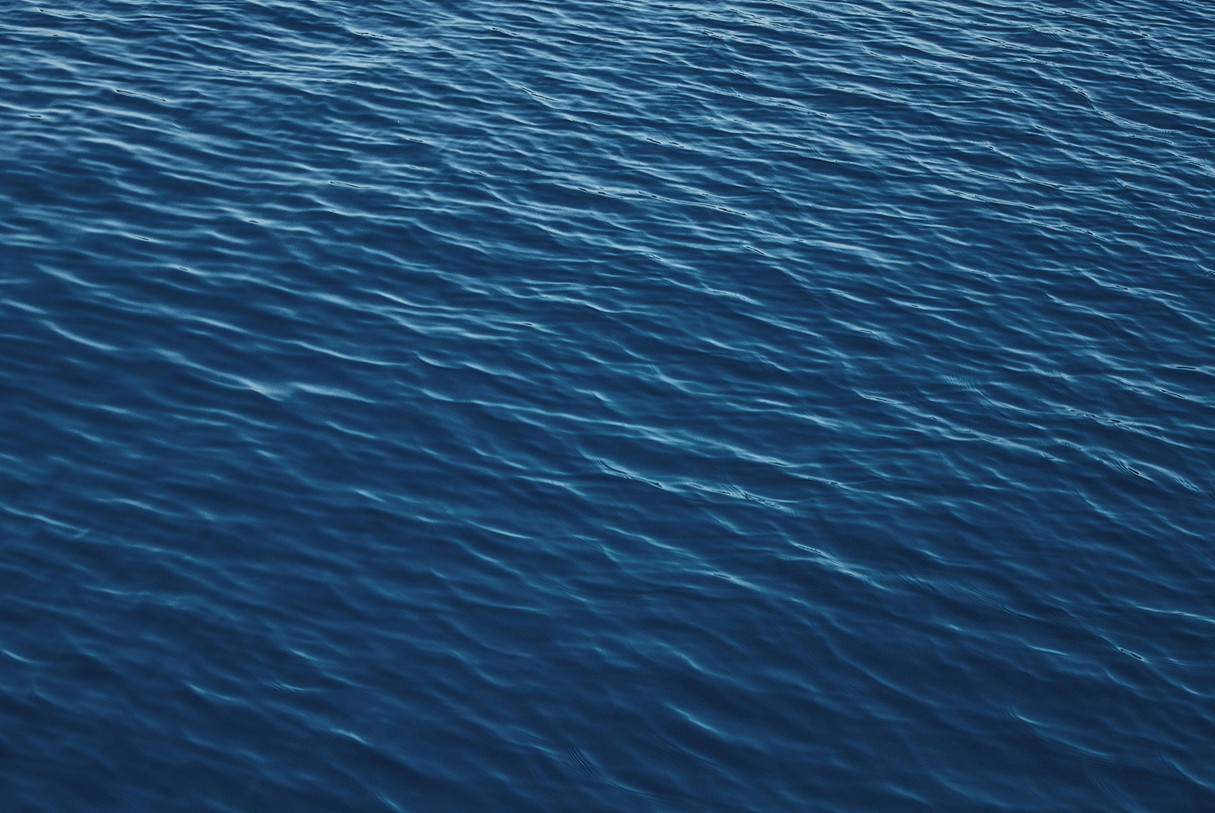 Featured image of post winapps