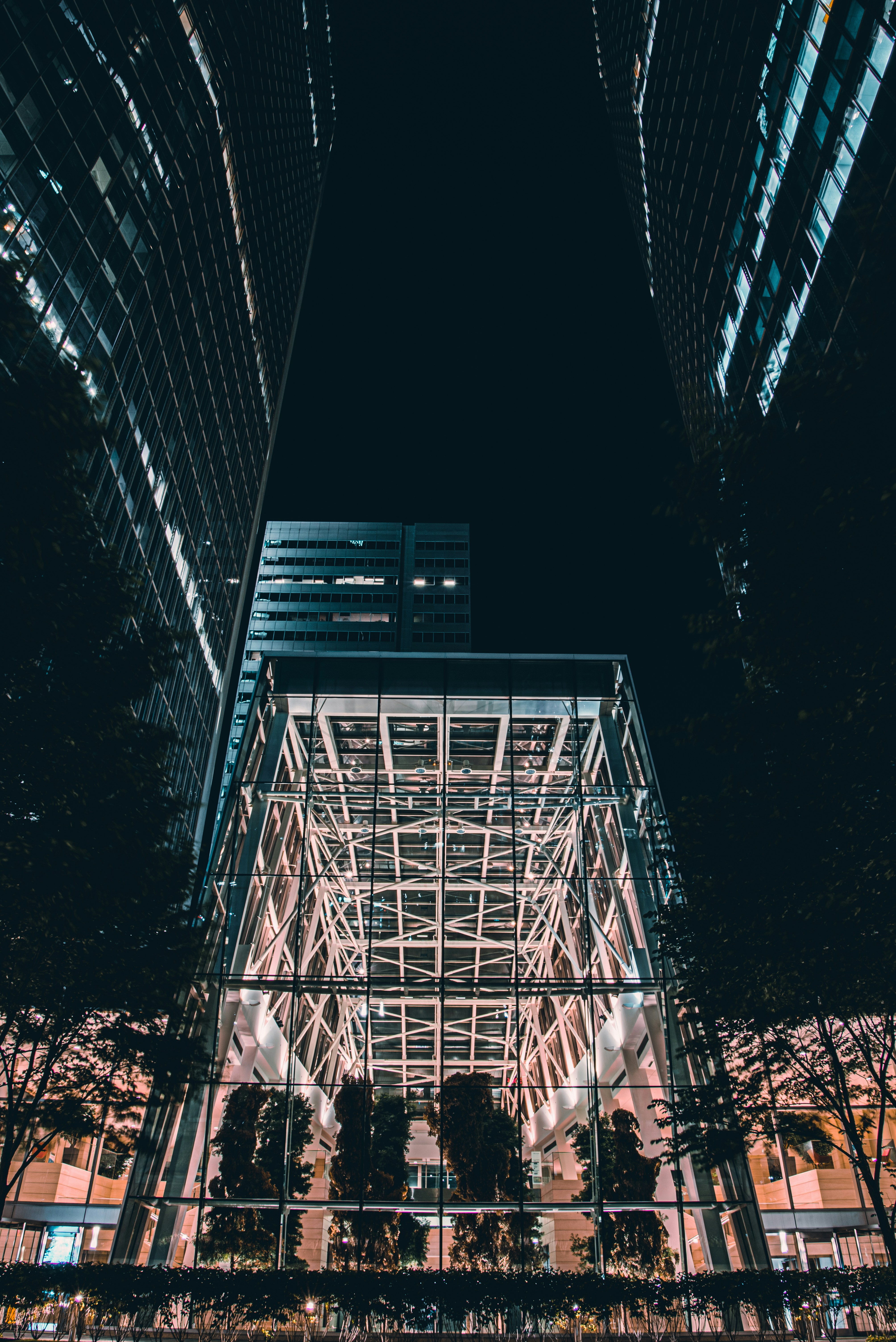 Photo by ryunosuke_kikuno
