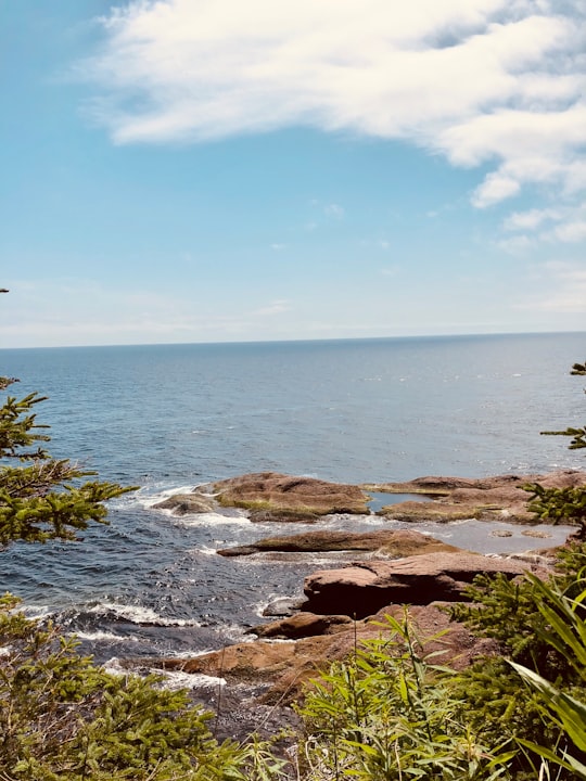 None in Parc national de l'Île-Bonaventure-et-du-Rocher-Percé Canada