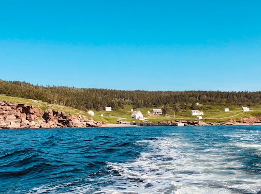 None in Parc national de l'Île-Bonaventure-et-du-Rocher-Percé Canada