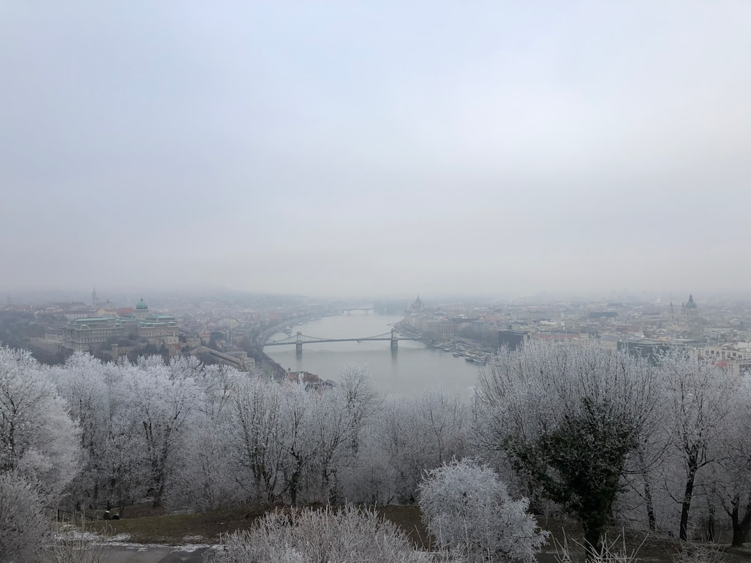 Natural landscape photo spot Budapest Széchenyi Chain Bridge