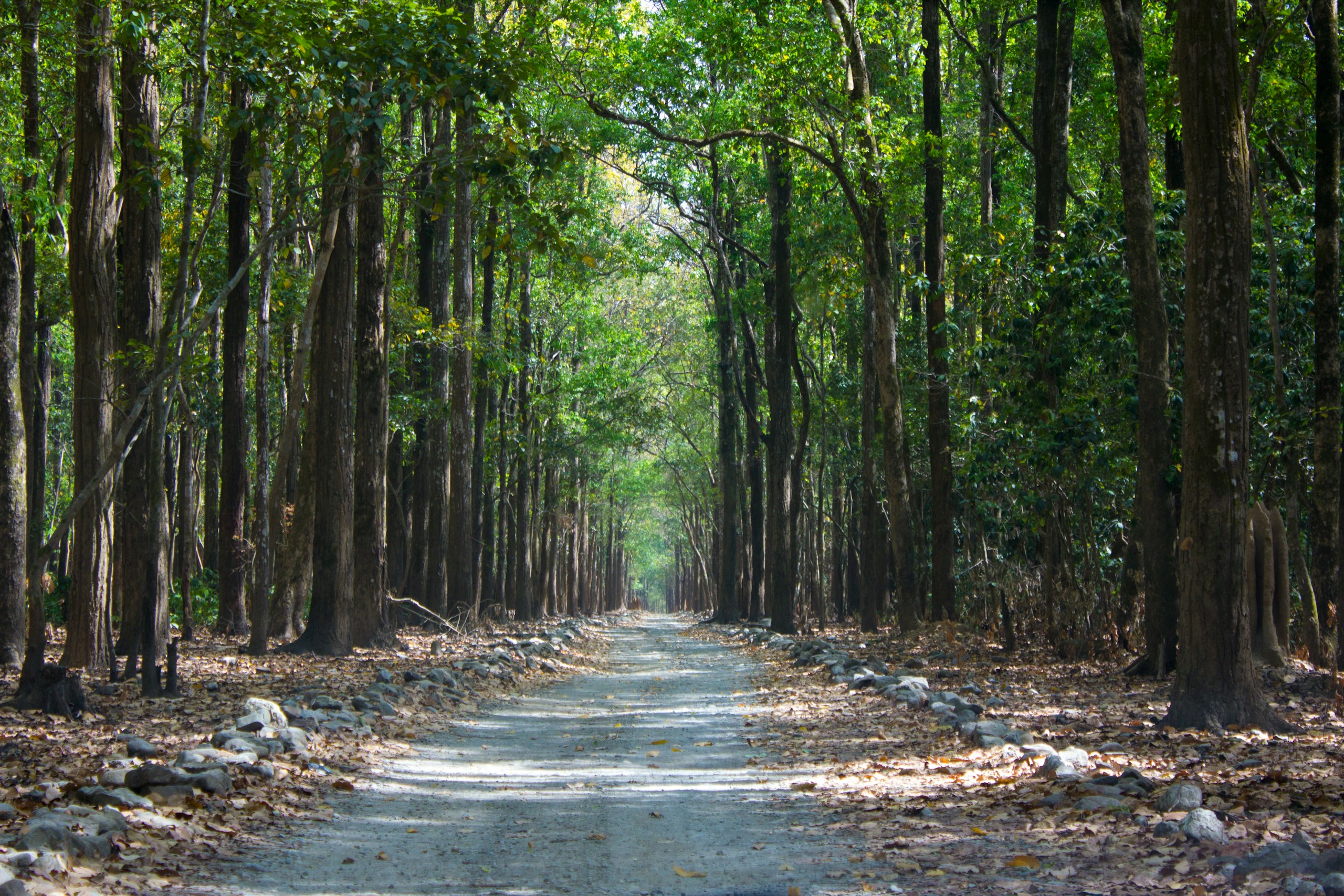 Transitional Justice and Climate Change at a Glance: Possible Lessons for a Sustainable Future