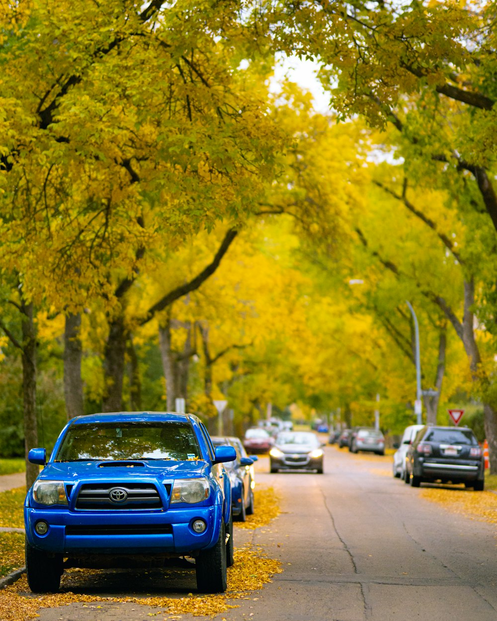 blue car on road during daytime