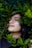 woman in black crew neck shirt with green leaves on her face