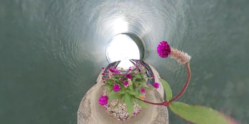 A floral arrangement is positioned at the center of a spiral or tunnel-like structure. Bright magenta flowers with green leaves are prominently visible, surrounded by a metallic-gray, swirling background that suggests a 360-degree perspective.