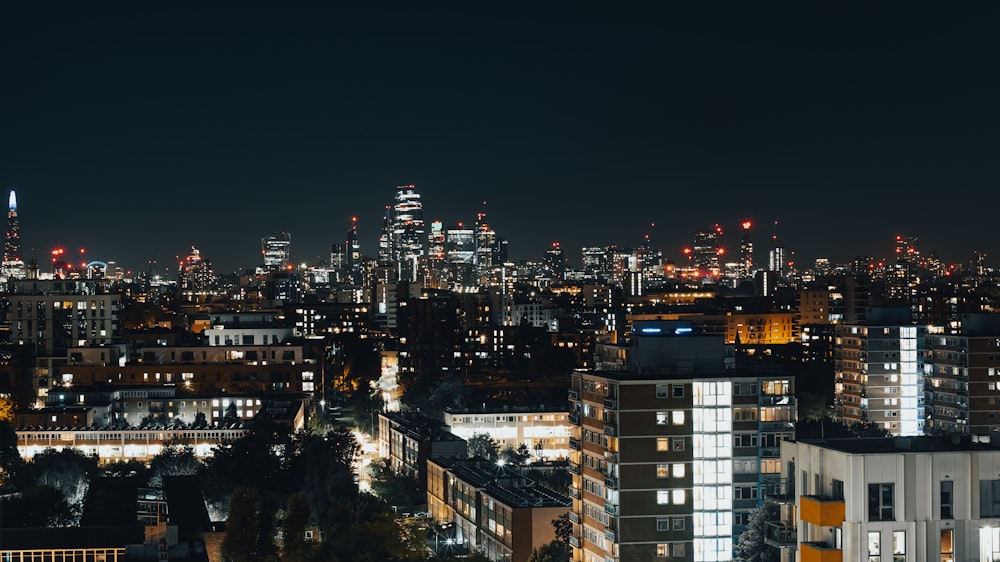 city with high rise buildings during night time