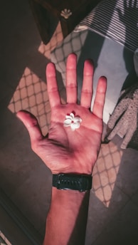 white flower on persons palm