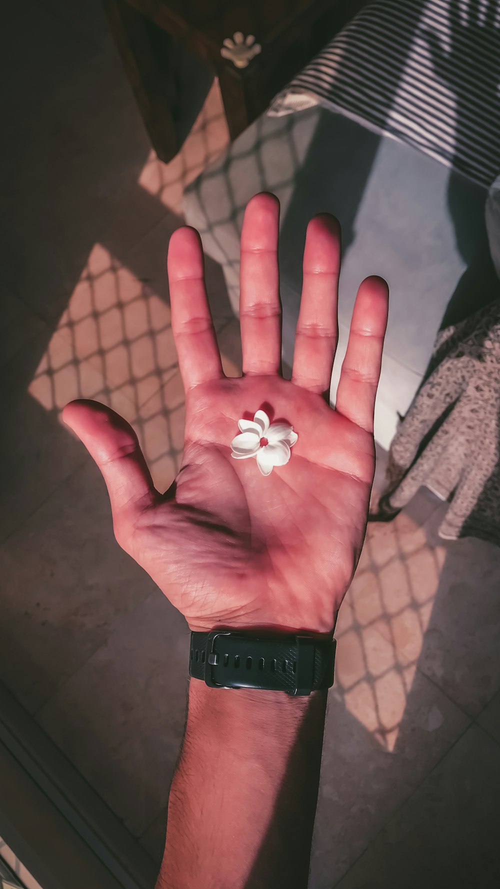 white flower on persons palm