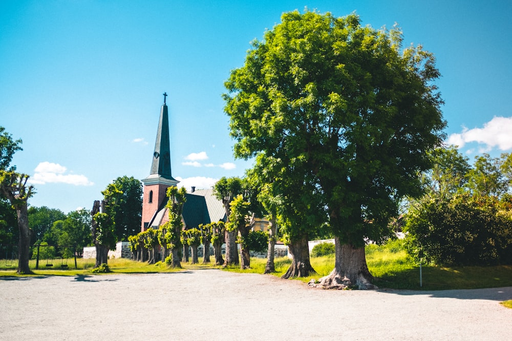 Grüne Bäume in der Nähe der weißen und blauen Kirche tagsüber