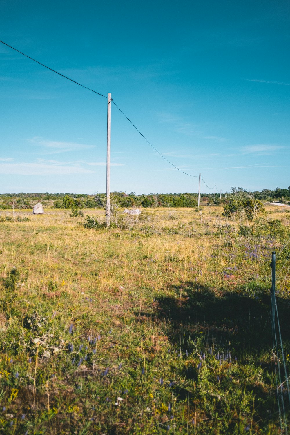 Grünes Grasfeld unter blauem Himmel tagsüber