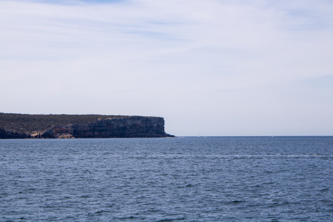Cliff photo spot Manly NSW Bondi