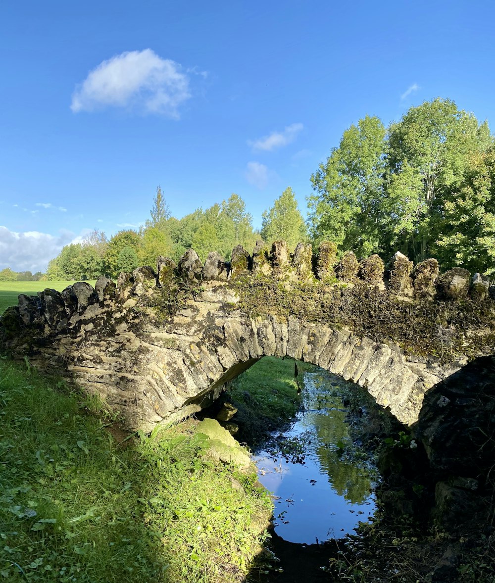 gray concrete bridge over river during daytime