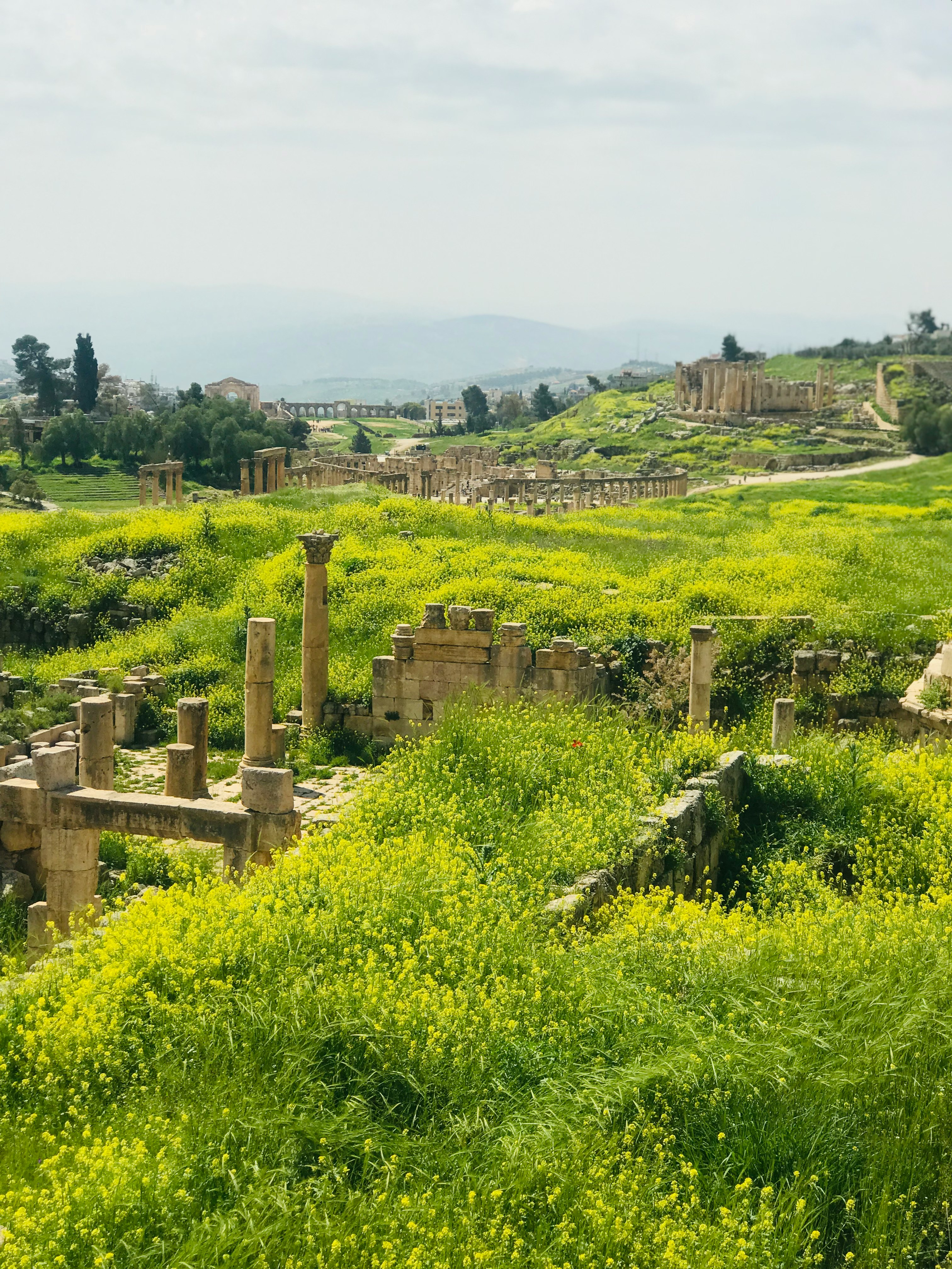 Ancient Jerash ruins surrounded by lush greenery during the spring in Jordan.