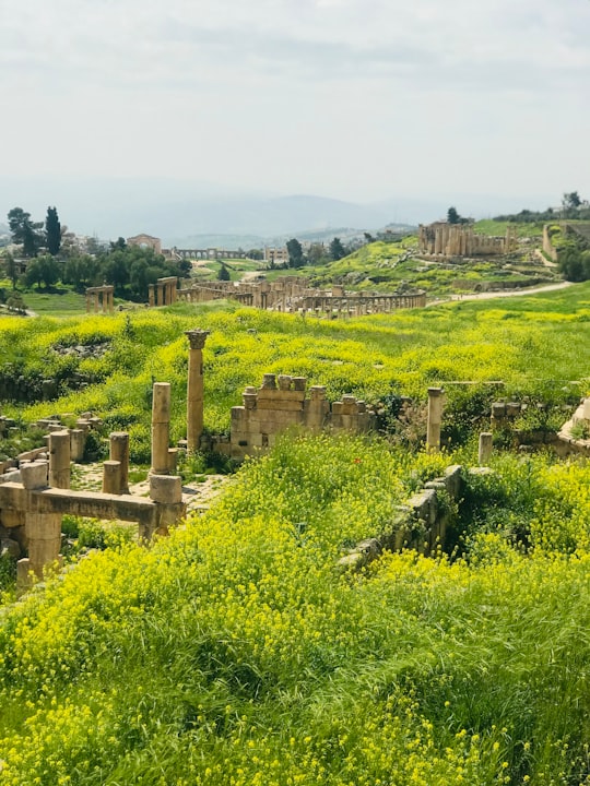 None in Jerash Jordan