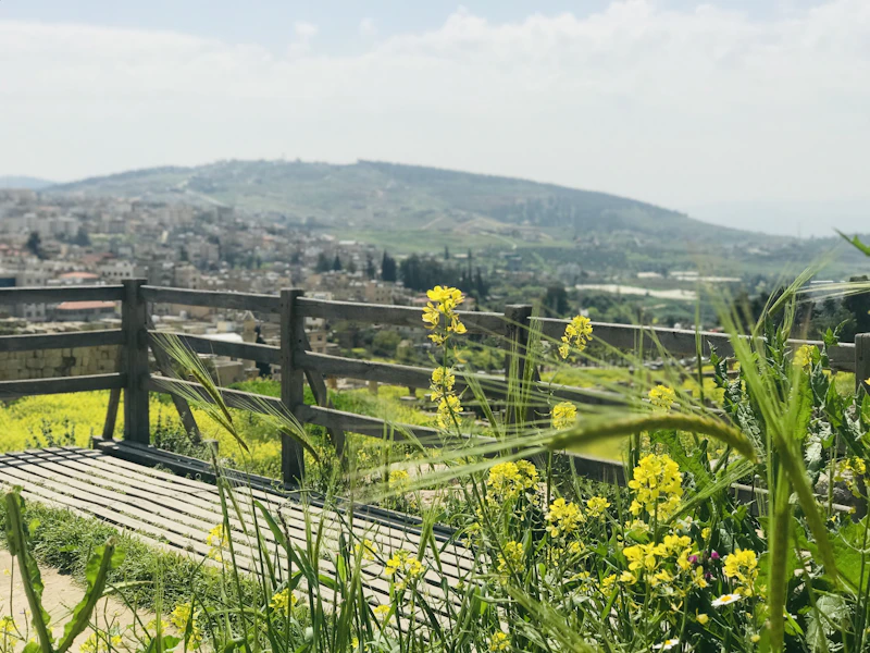 Top Rated Pizza Joints in Jerash That Locals Swear By