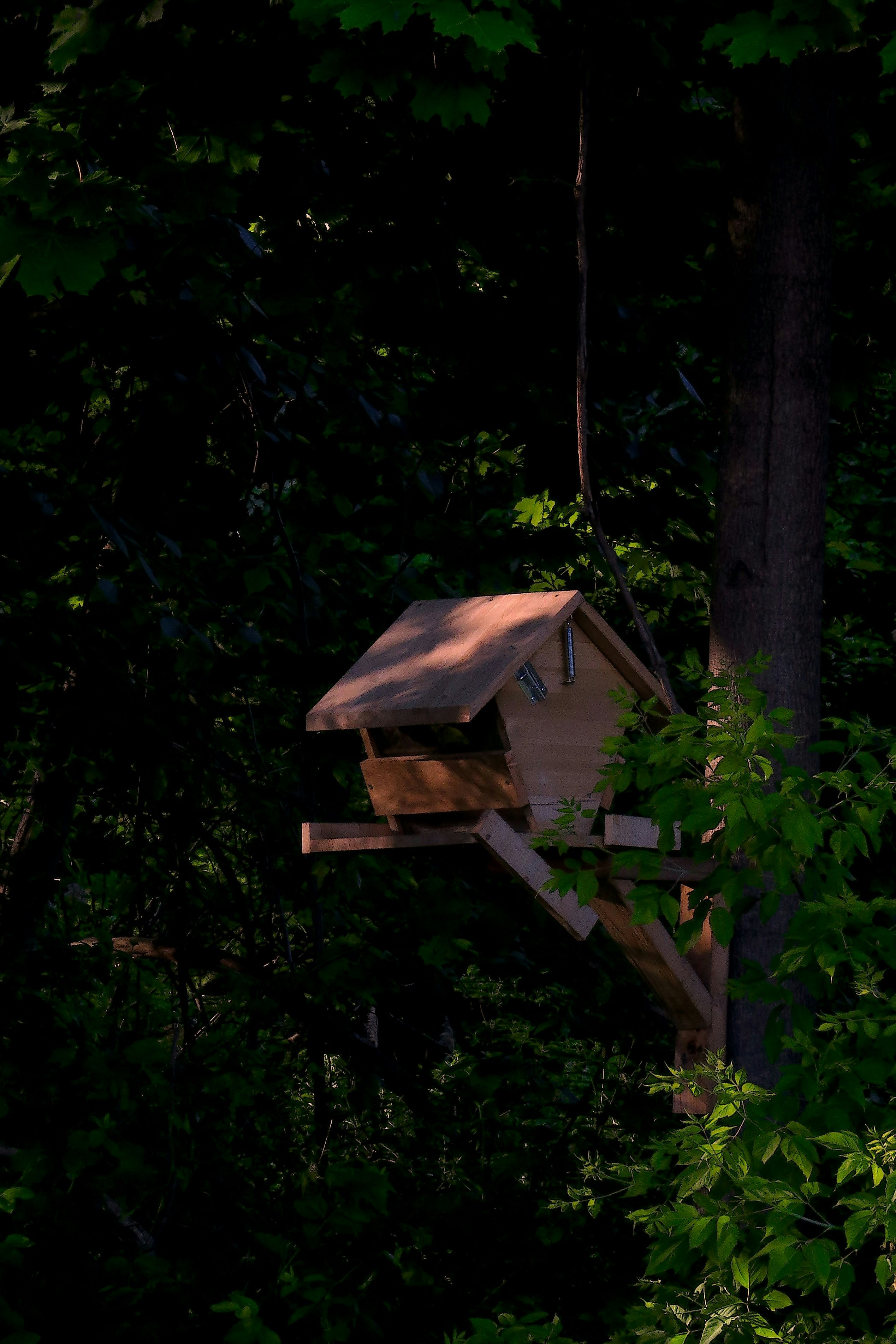 Photo by darkness1028