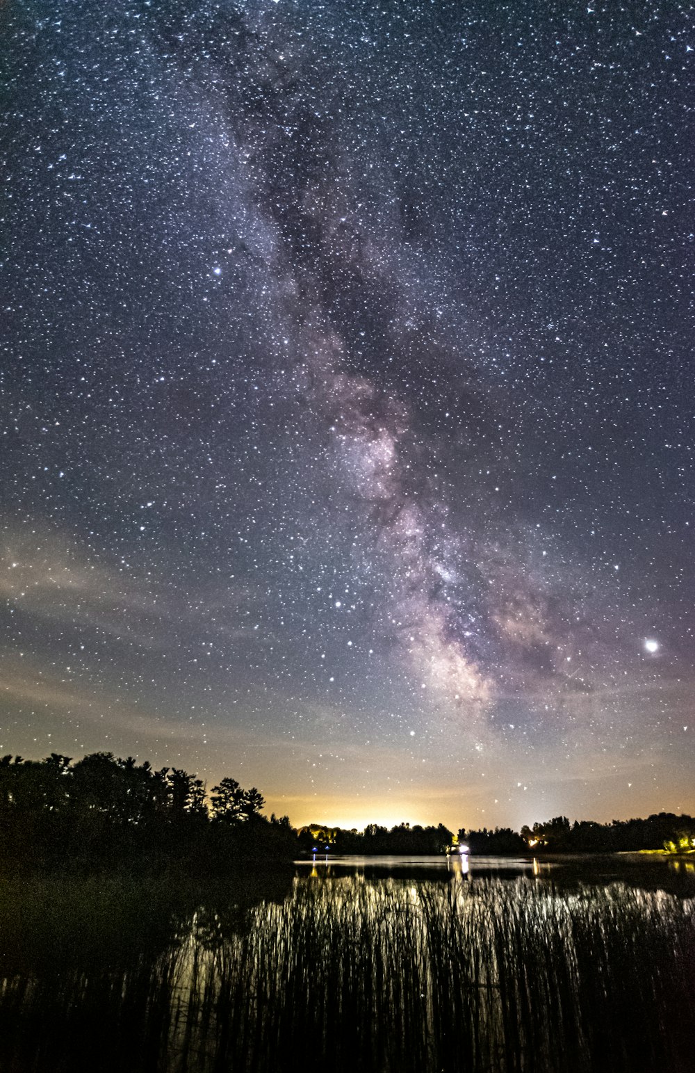 silhouette of trees under starry night