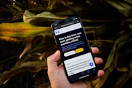 A smartphone is being held in a hand against a background of corn plants. The phone display shows a webpage with text promoting business services, featuring a call-to-action button and the phrase 'Now is the time, you start getting more business online!'
