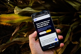 A smartphone is being held in a hand against a background of corn plants. The phone display shows a webpage with text promoting business services, featuring a call-to-action button and the phrase 'Now is the time, you start getting more business online!'