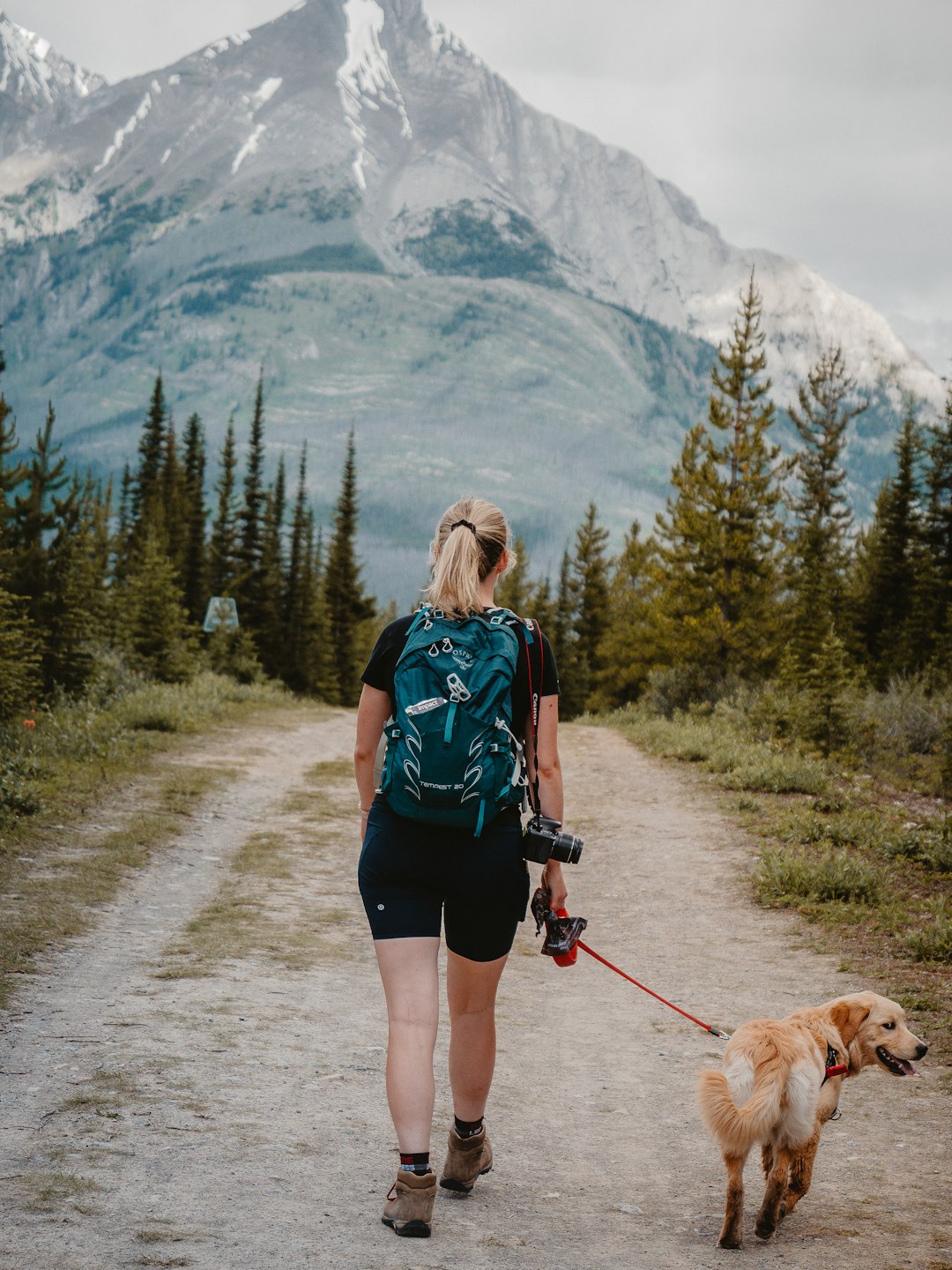 Dog hiking photo spot Kananaskis Banff