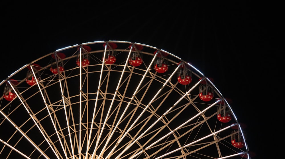 Grande roue blanche pendant la nuit