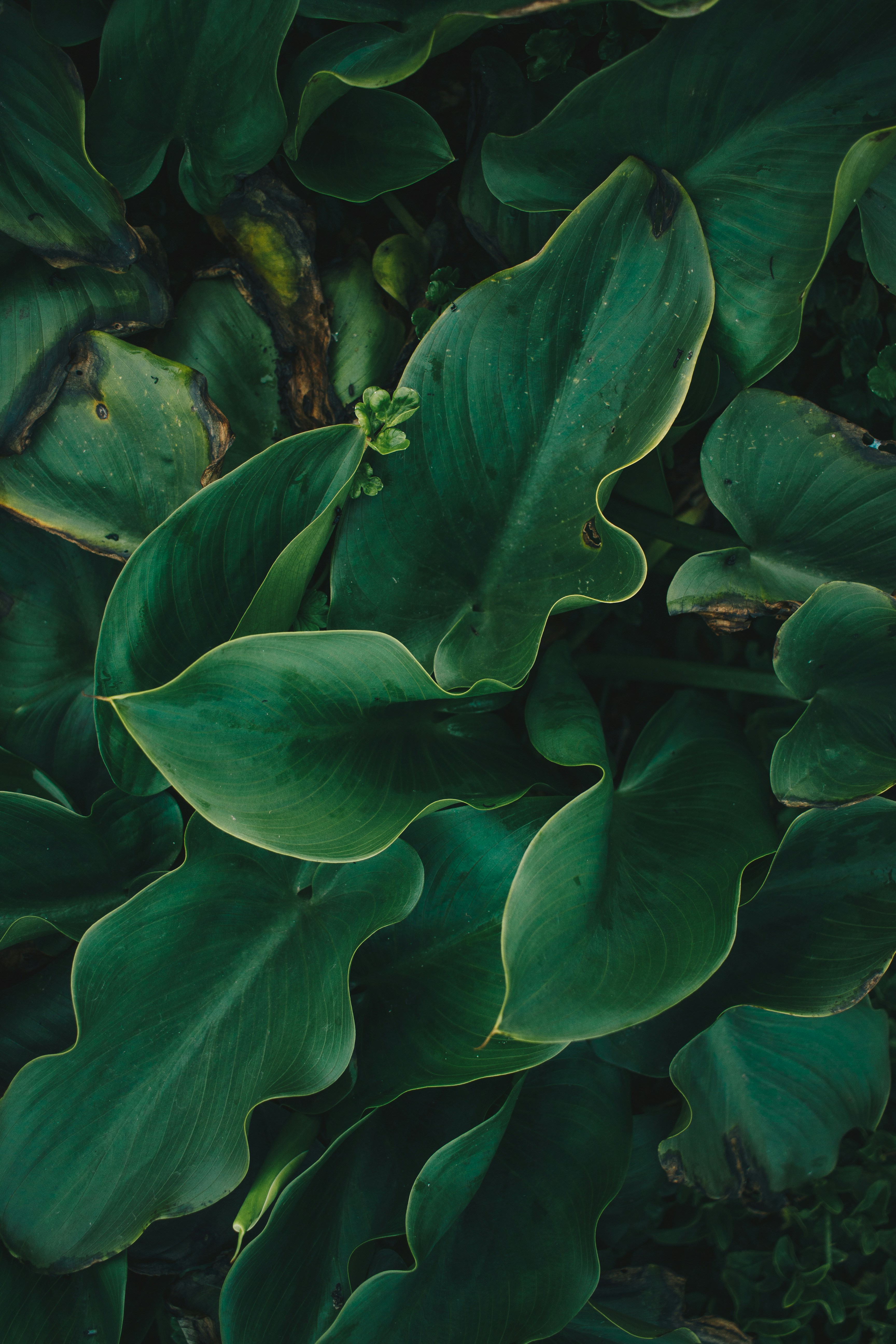 Photo by sincerelymedia