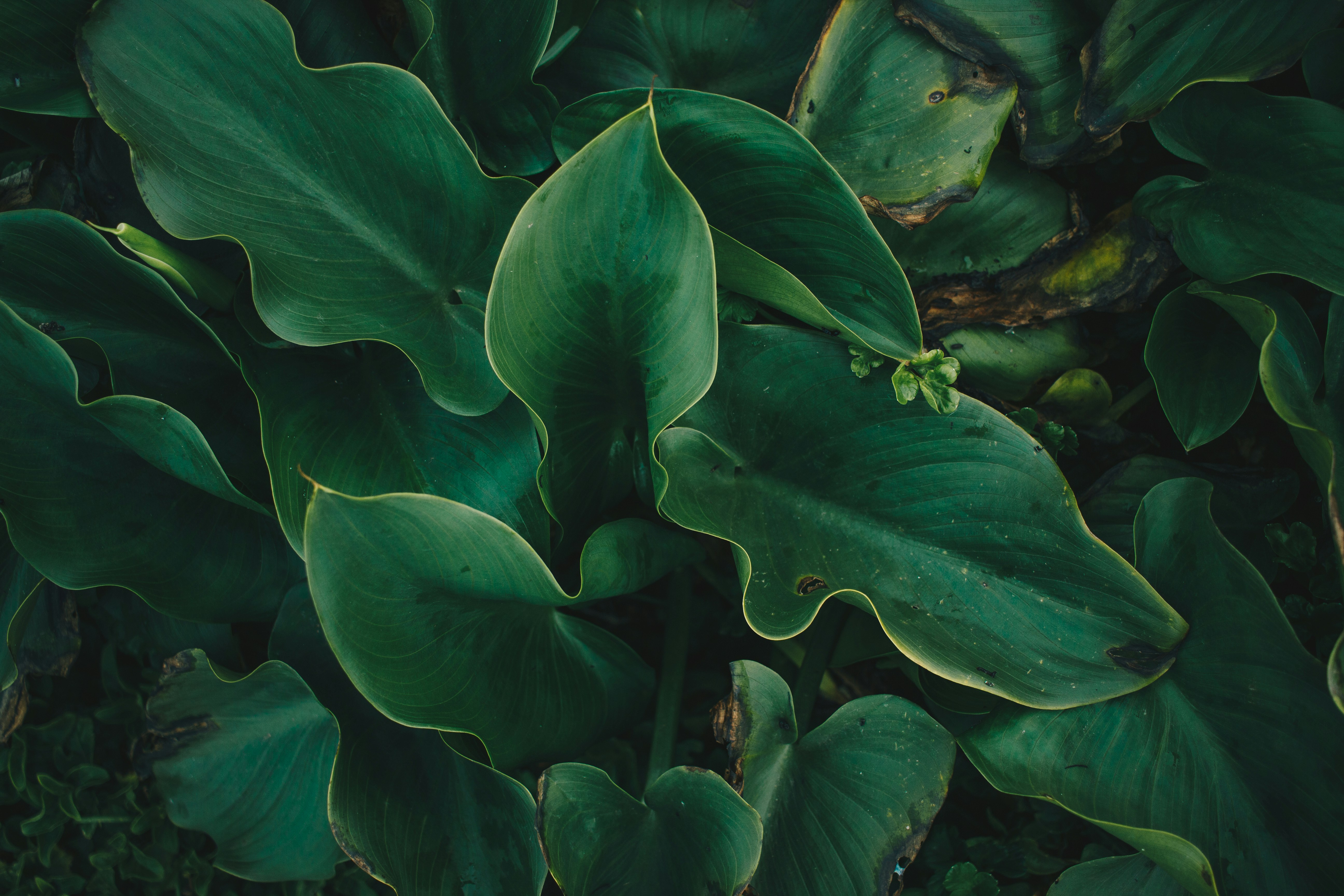 Photo by sincerelymedia