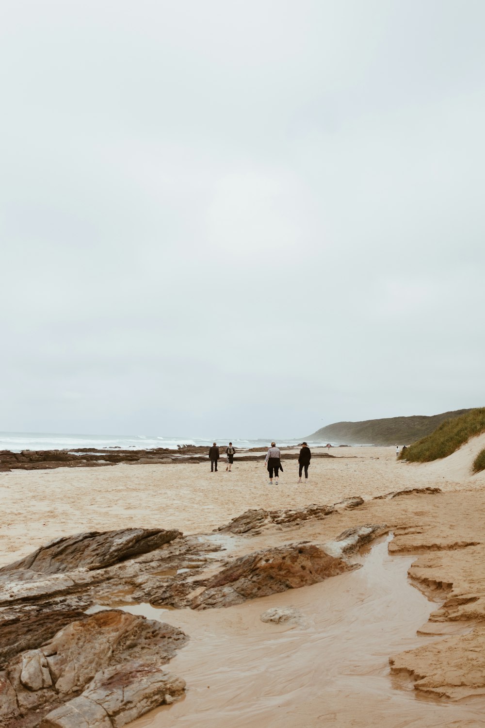 낮에 갈색 모래 해변을 걷는 사람들