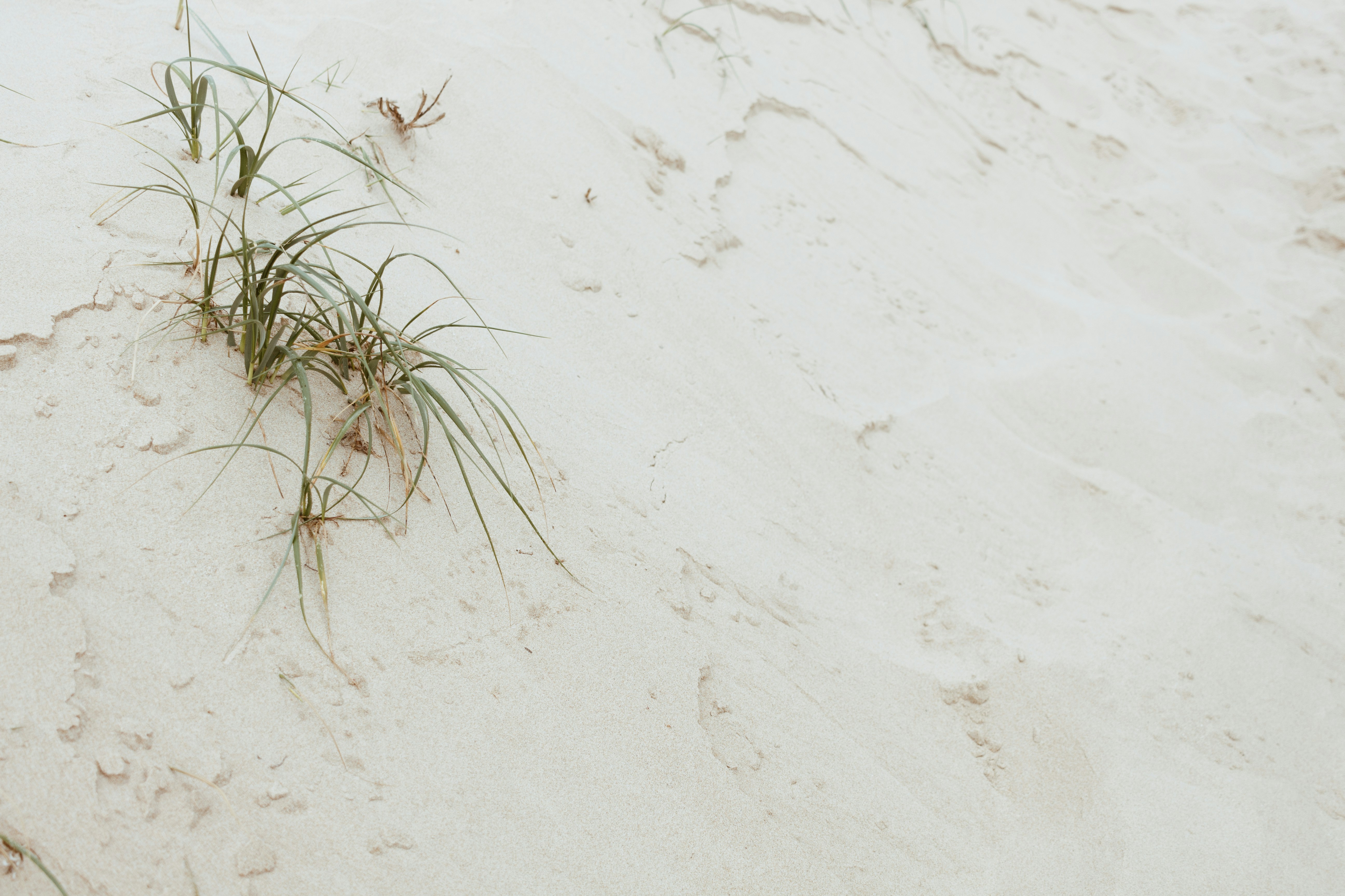 Photo by sincerelymedia