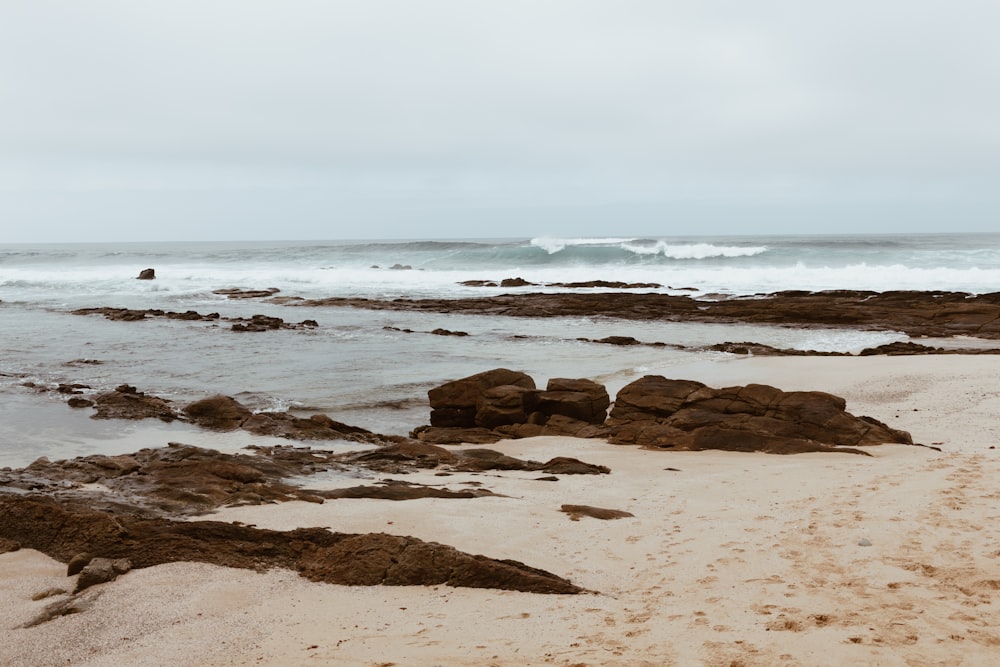 brown rocks on beach during daytime