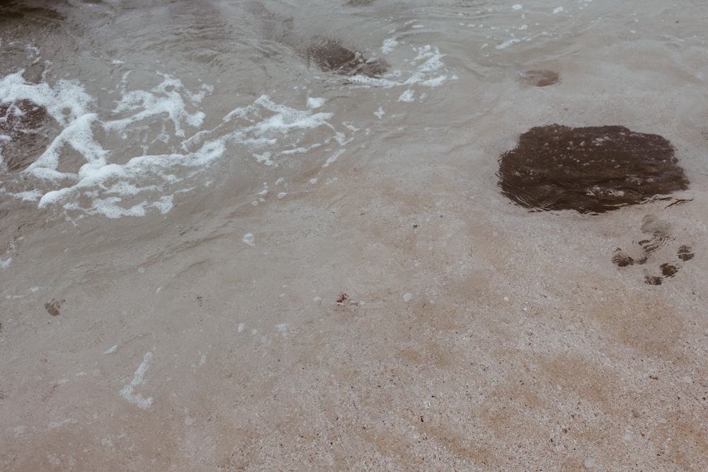 arena marrón cerca del cuerpo de agua durante el día