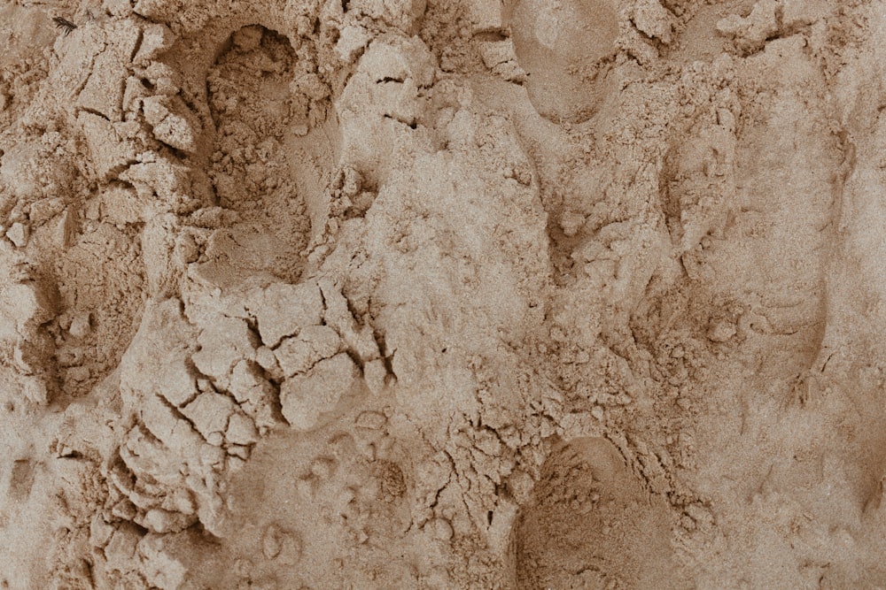 낮에는 물이 있는 갈색 모래