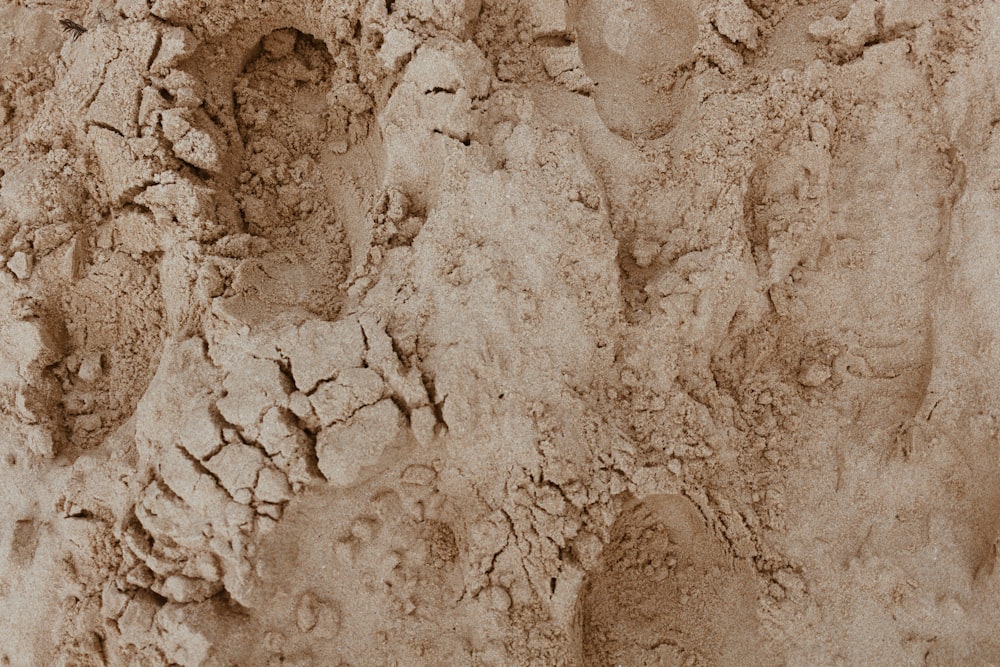 arena marrón con agua durante el día