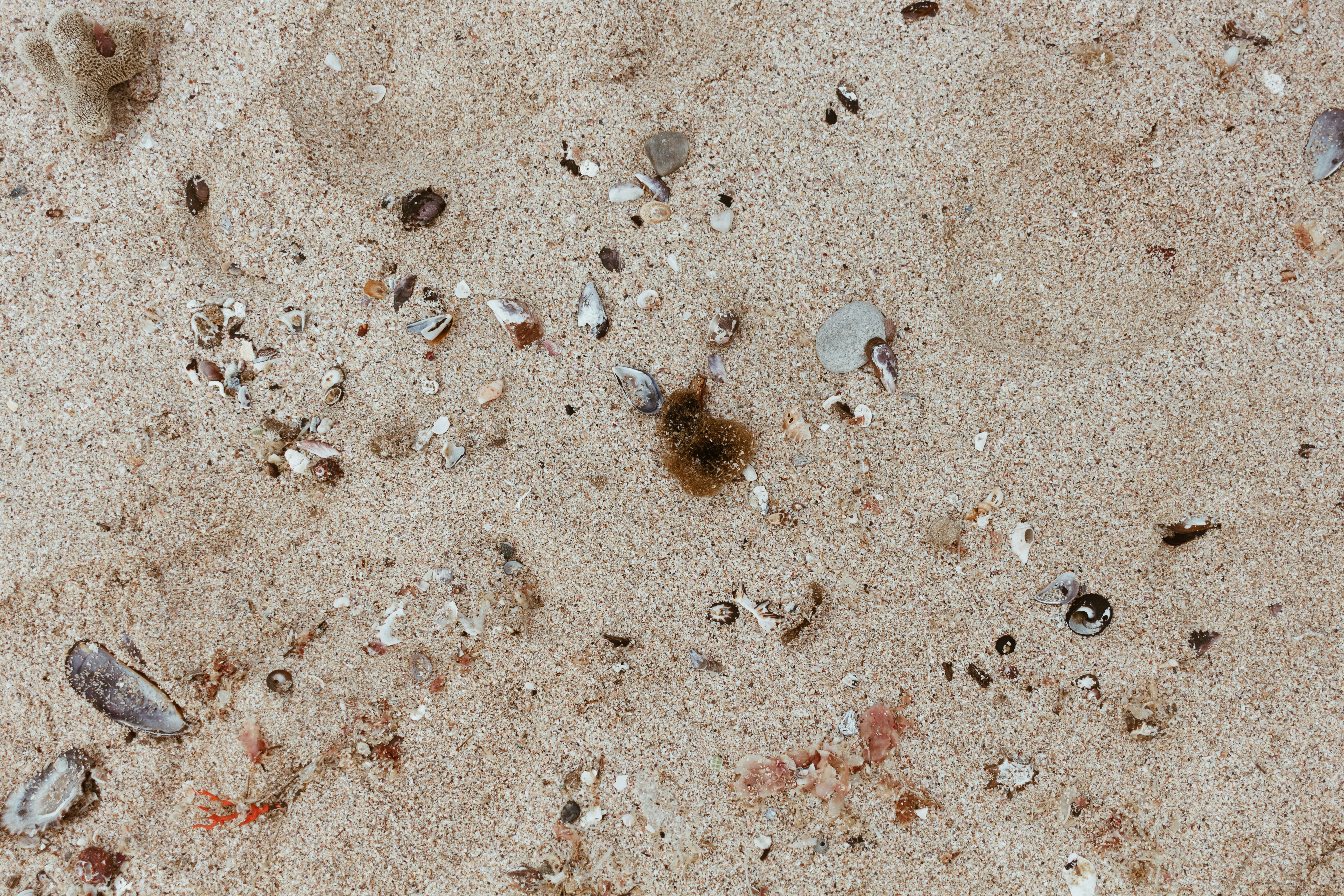 Photo by sincerelymedia