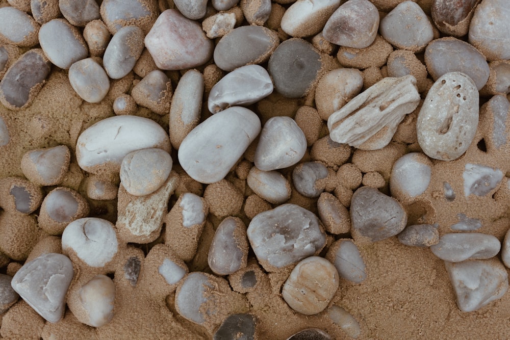 white and gray stone on brown sand