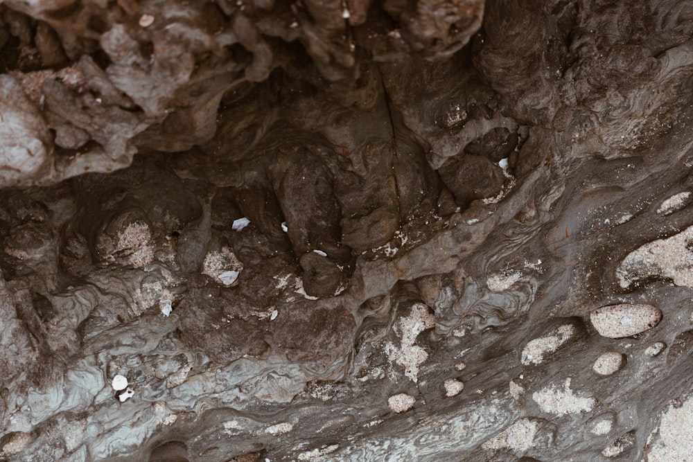 brown and gray stone fragment