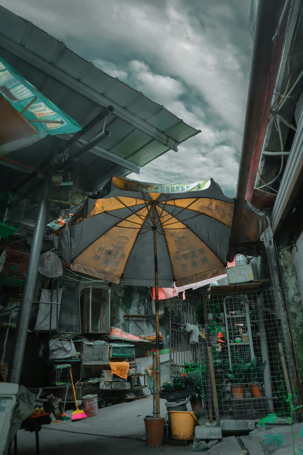 yellow umbrella on the street