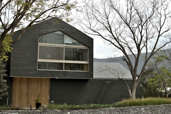 A modern, dark-colored house with large geometric windows situated among bare trees. The design features a mix of wood and black brick materials, with a minimalist and contemporary architectural style. The trees in the foreground create a stark contrast against the sleek lines of the building, and distant mountains are visible in the background.