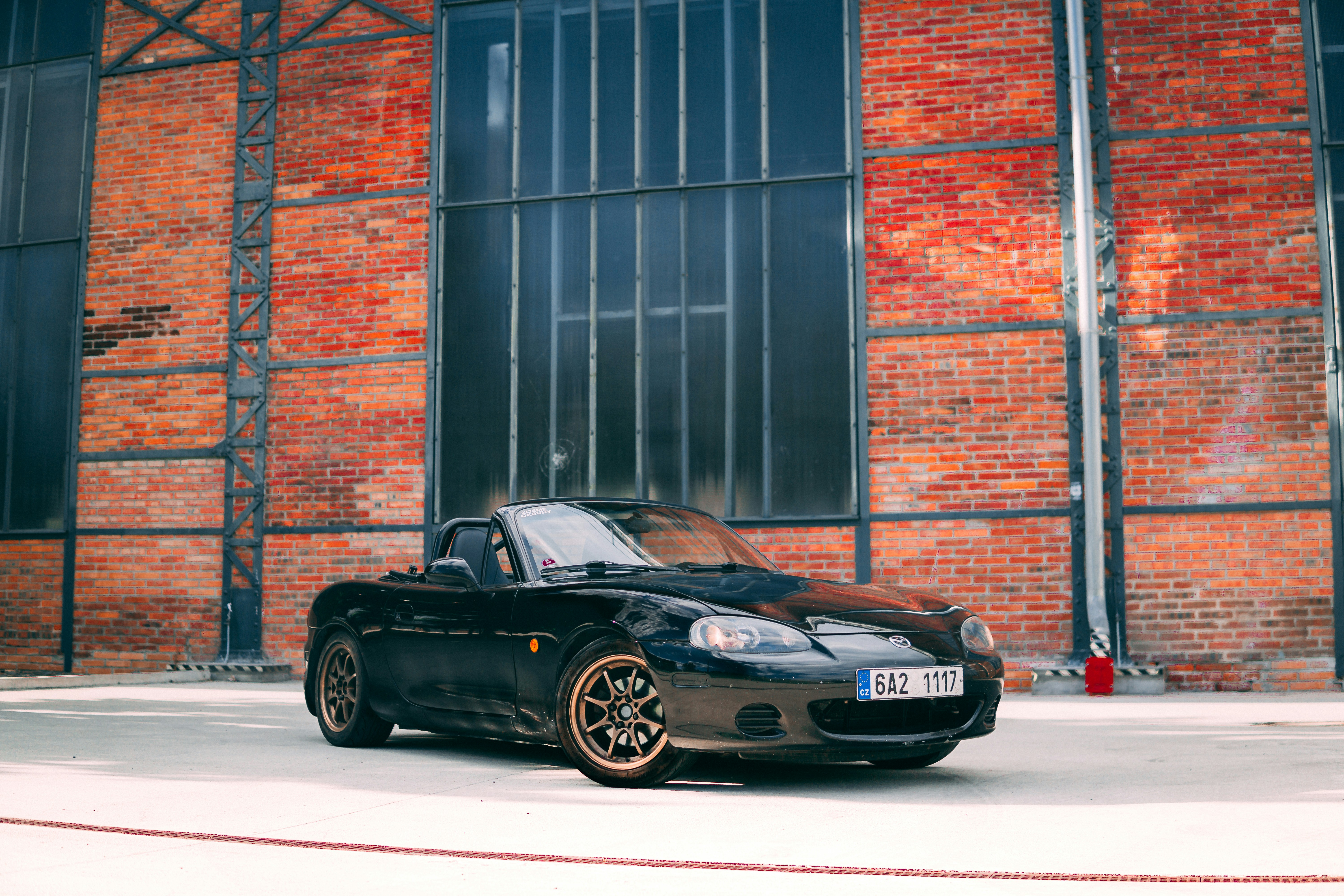 Trivia nights in Ostrava, Czech Republic