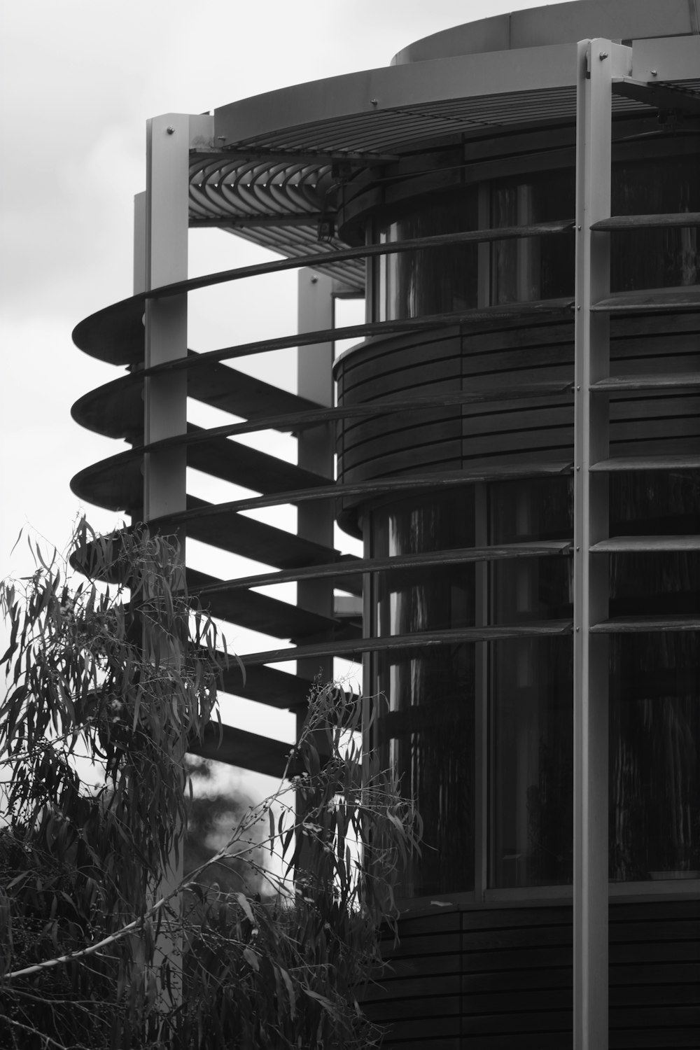 grayscale photo of spiral staircase