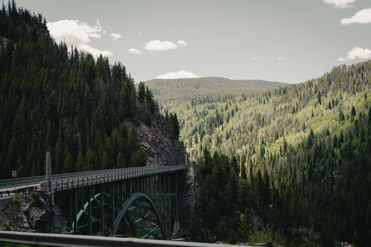 A green steel arch bridge carrying a highway across a forested canyon near Leadville