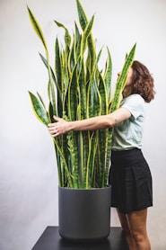 woman in white shirt and black skirt holding green plant