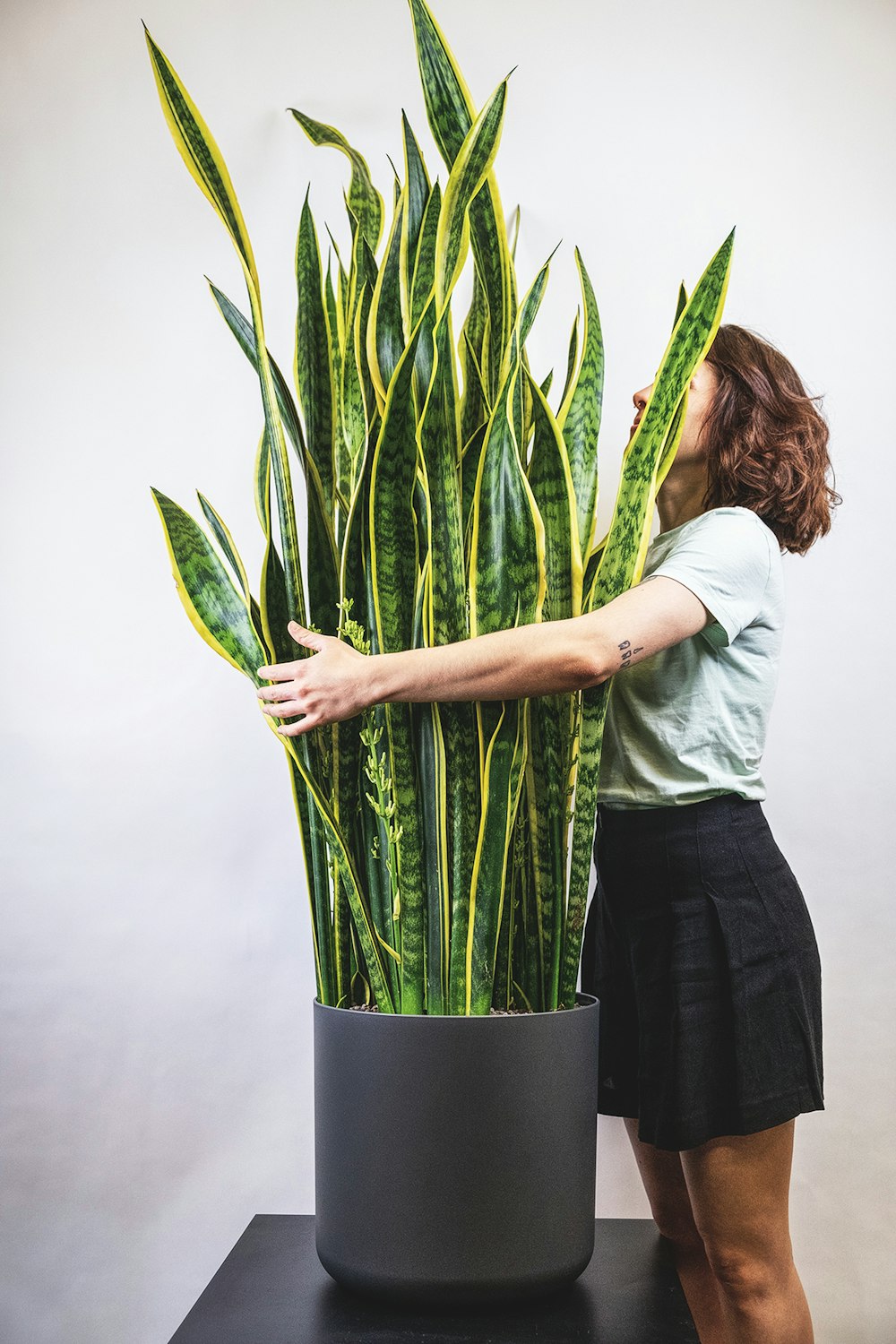 femme en chemise blanche et jupe noire tenant une plante verte